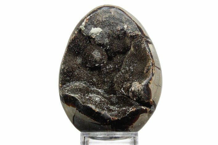 Septarian Dragon Egg Geode - Sparkly Black Crystals #356162